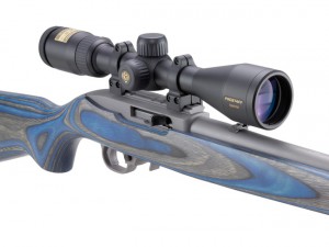 rifle scope on a 10-22