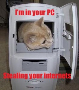 internet thief