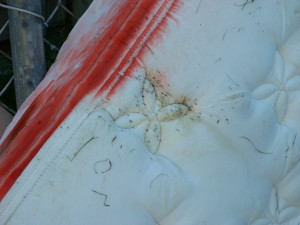 bedbug markings on a mattress