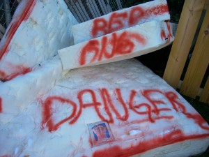 danger bedbugs 4