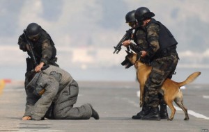 turkish security forces during attack dog exercise