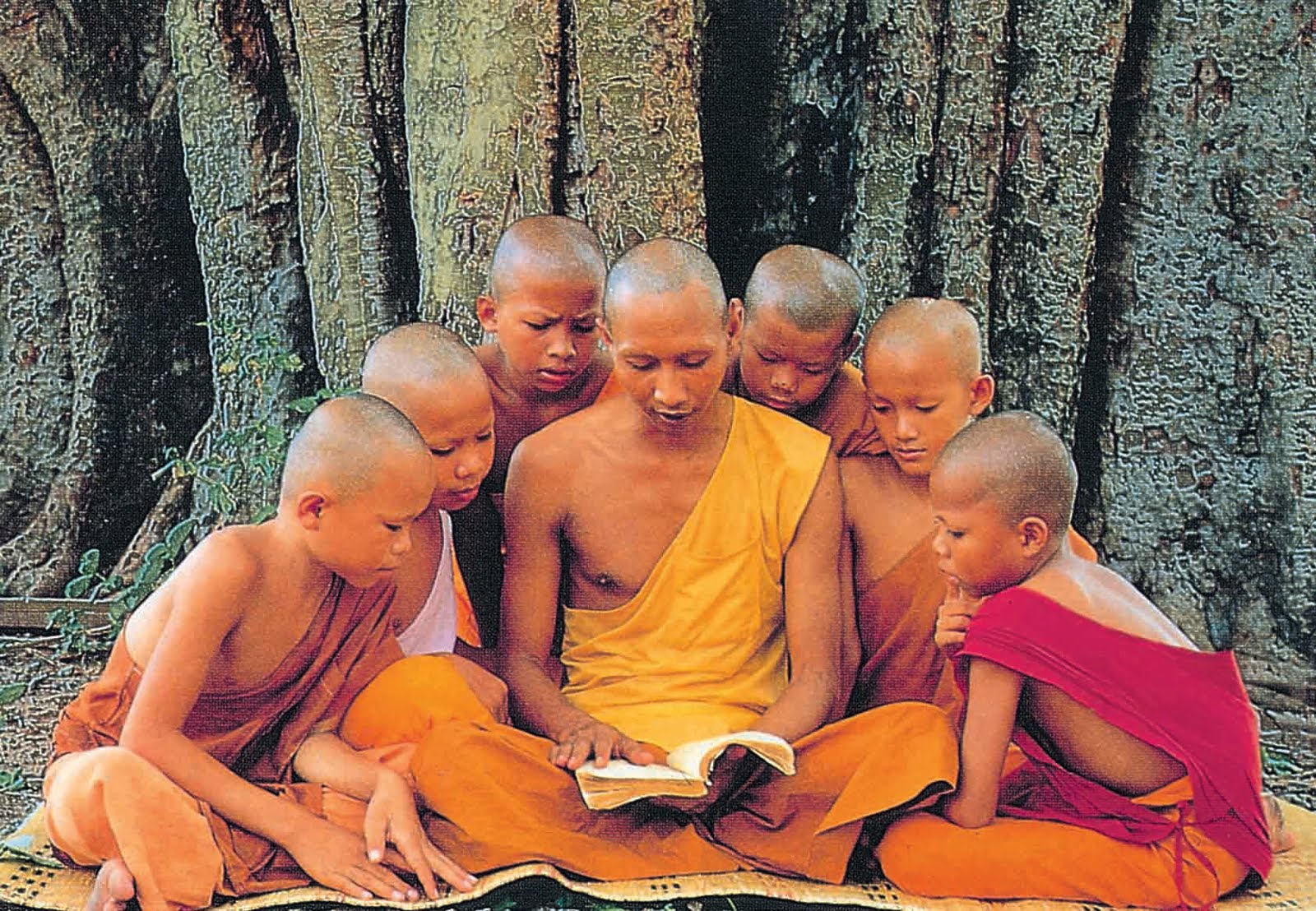 What Are The 5 Teachings Of The Buddha