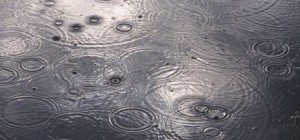 raindrops in puddle