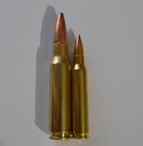 762 next to a 556 round