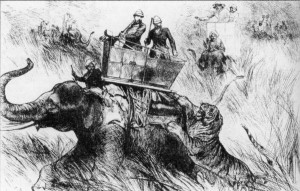british officers in a howdah being attacked by tiger